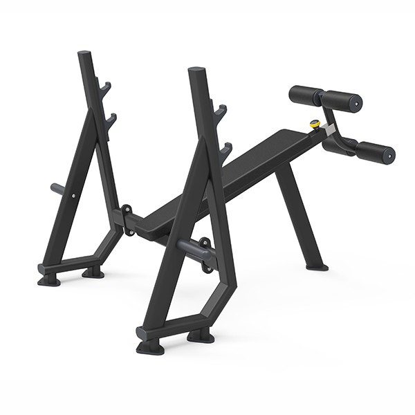 Strength Training Decline Chest Press Bench
